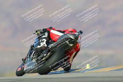 media/Jan-13-2024-SoCal Trackdays (Sat) [[9c032fe5aa]]/Turn 9 Backside (110pm)/